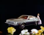 Ford Pinto Runabout with Luxury Decor Package 1974 года